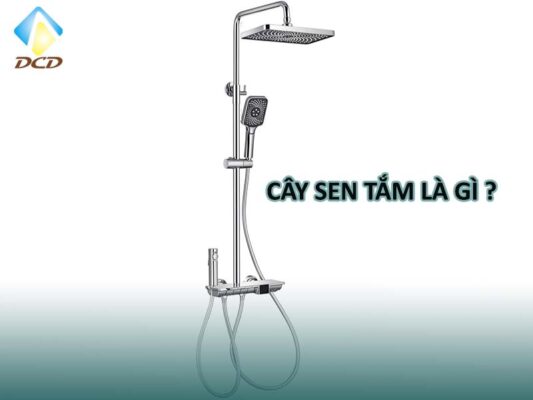 Cây sen tắm là gì ?
