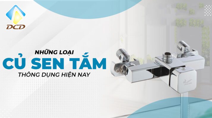 Có những loại củ sen tắm nào thông dụng hiện nay ?
