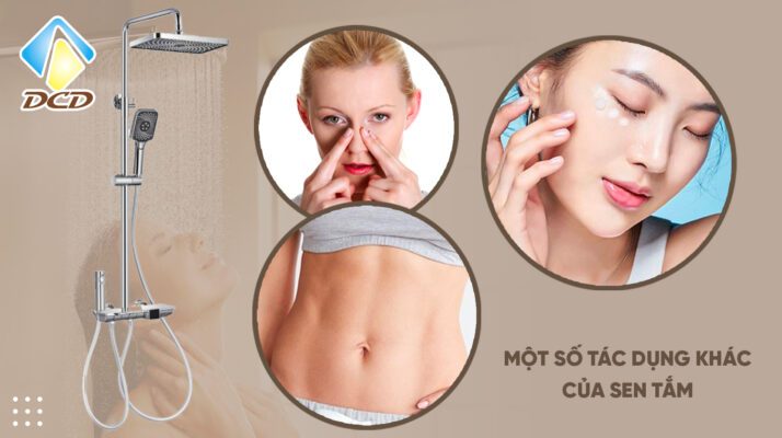 Một số tác dụng khác của sen tắm