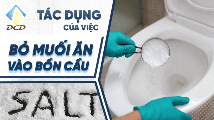 bỏ muối vào bồn cầu có tác dụng gì